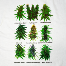 Load image into Gallery viewer, Life Is Full Of Important Choices T-shirt (White)