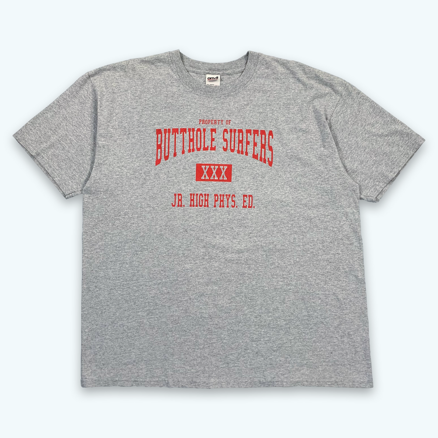 Butthole Surfers T-Shirt (Grey)